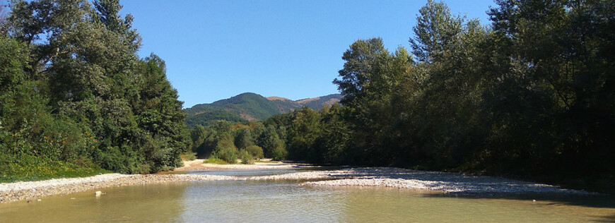 Изображение Пшады