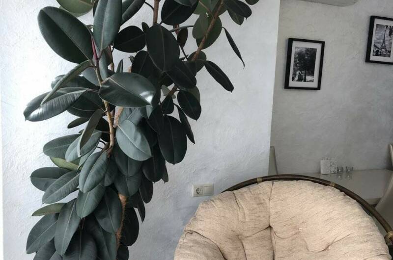 Однокомнатная квартира ЖК «Легенда»