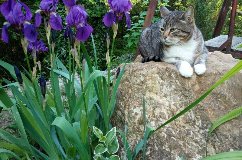 Апартаменты «Веста»