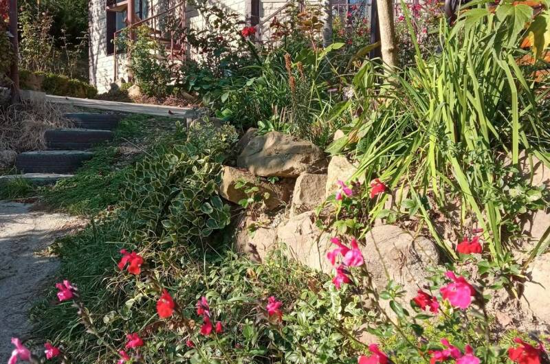 Апартаменты «Веста»