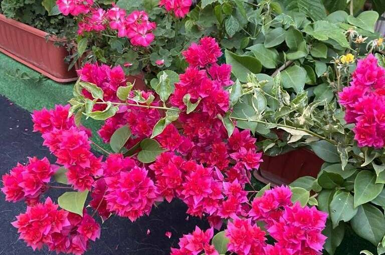 Частный дом «Благодать»