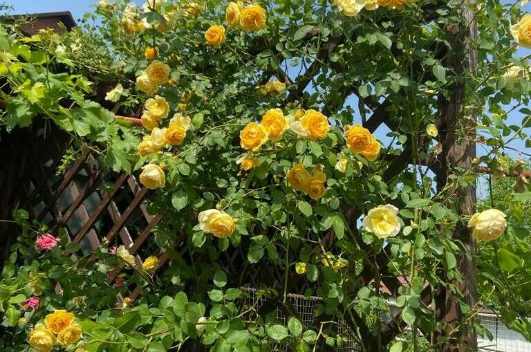 Частный дом «Благодать»