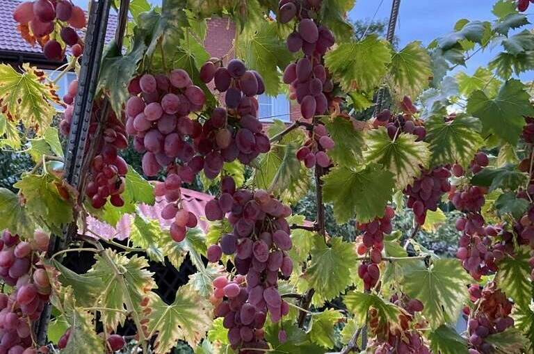 Частный дом «Благодать»