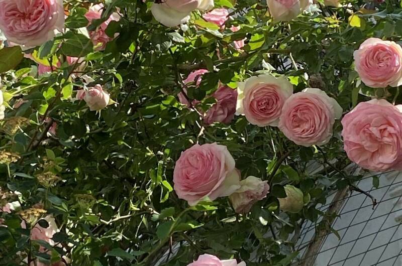 Частный дом «Благодать»