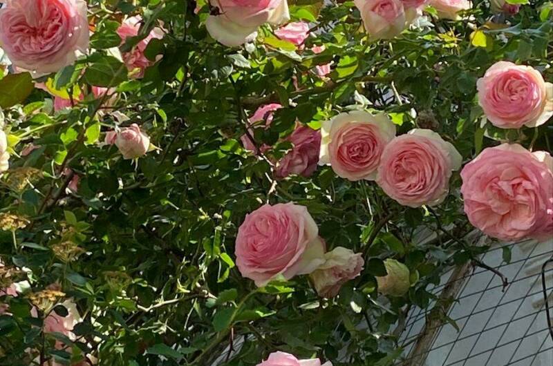 Частный дом «Благодать»