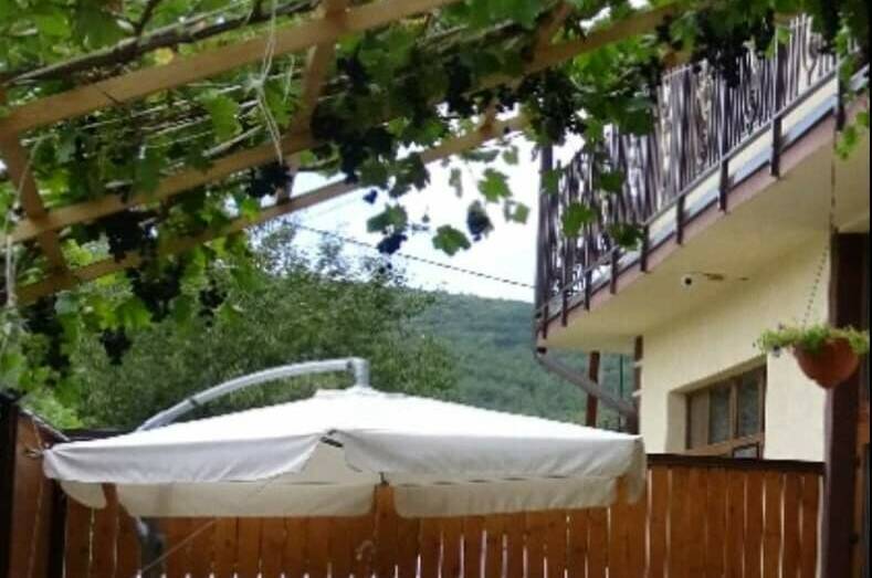 Гостевой дом «Юг-Гория»