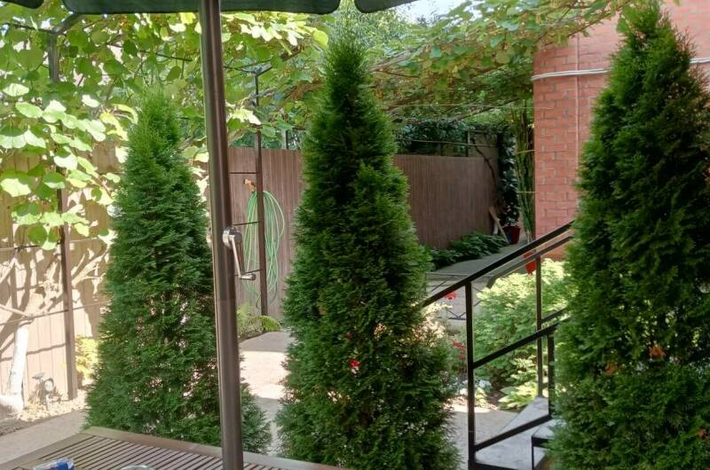 Коттедж под ключ