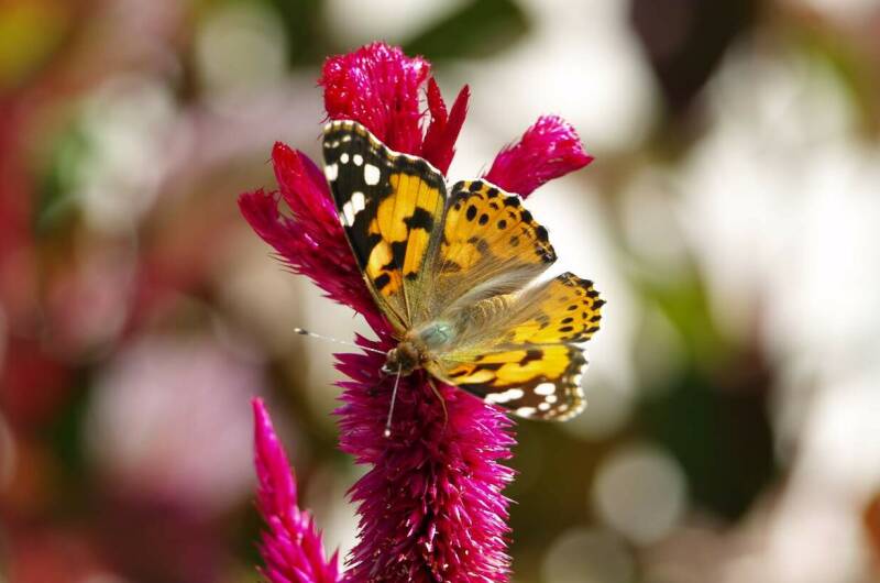 Гостевой дом «Эпоха»