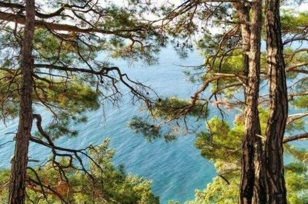 Апартаменты «Скала Парус»