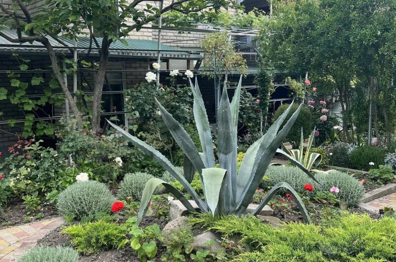 Гостевой дом на Вильямса