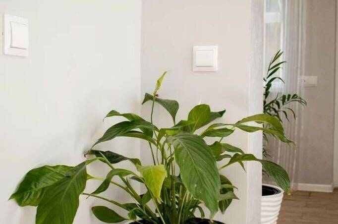 Дом под ключ «Маленькая Греция»