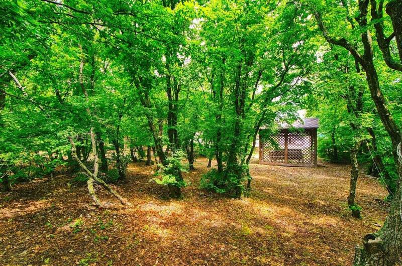 База отдыха «Можжевеловая роща»