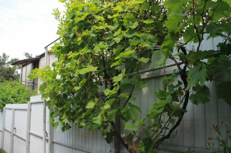 Гостевой дом «Отдых у Галины»