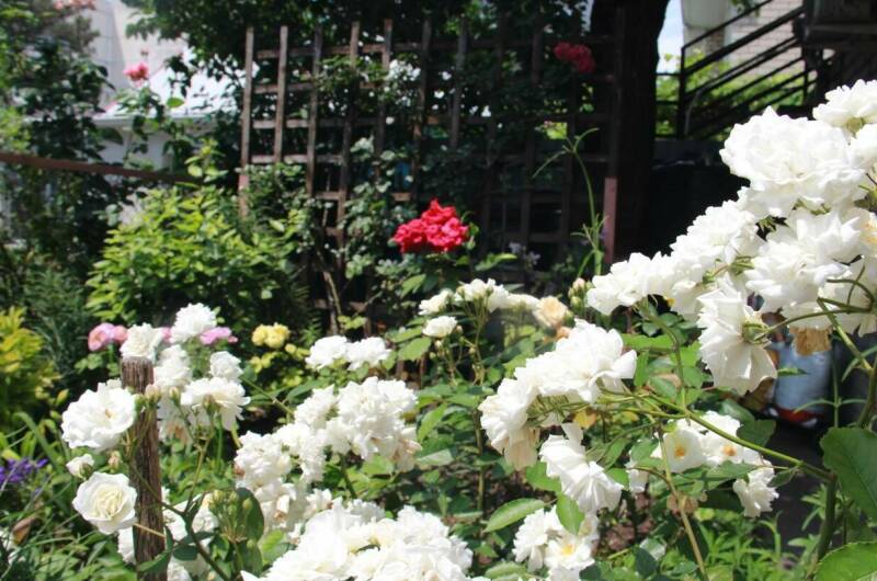 Гостевой дом «Отдых у Галины»