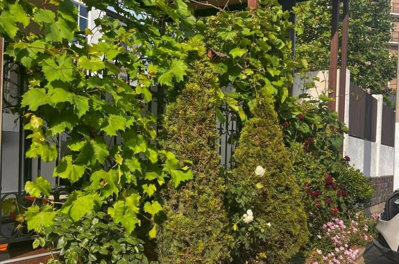 Гостевой дом «Эллас»