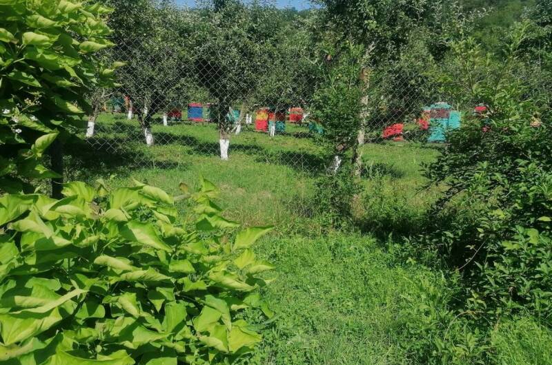 Гостевой дом «Курорт»