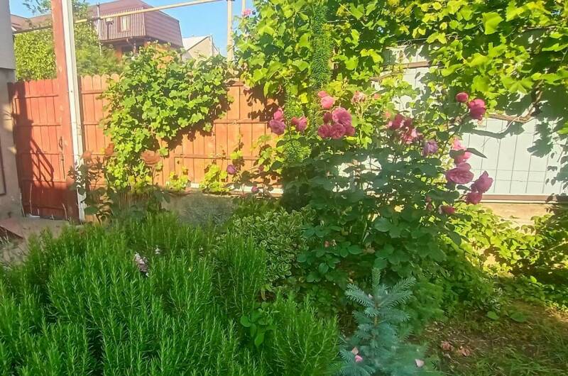 Дом под ключ на Волнухина