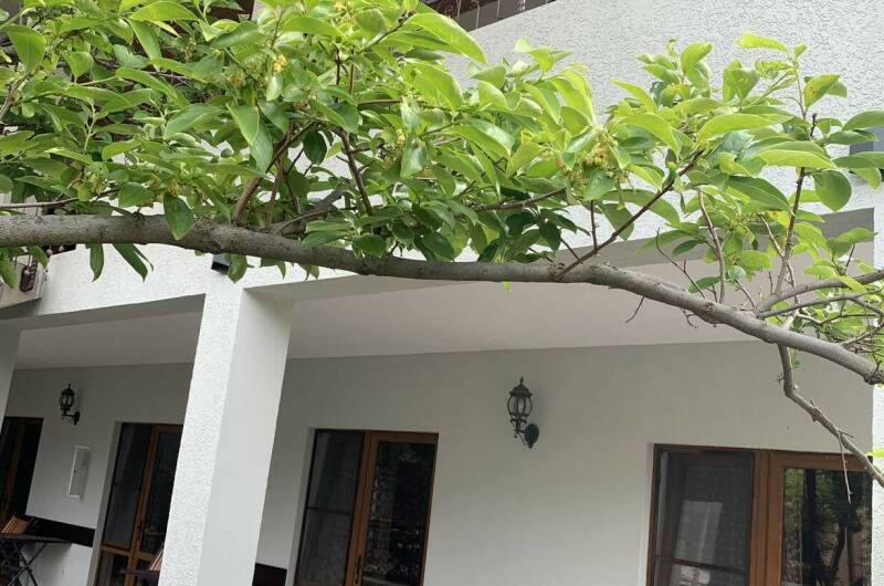 Гостевой дом «У Людмилы»