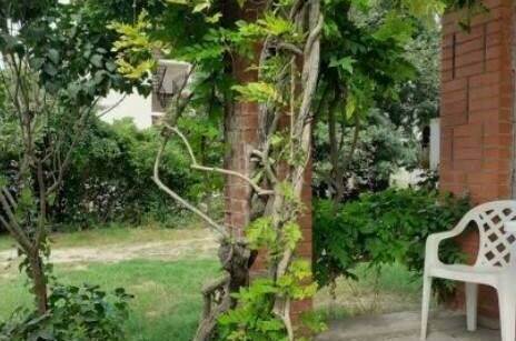 Коттедж «Сияние»