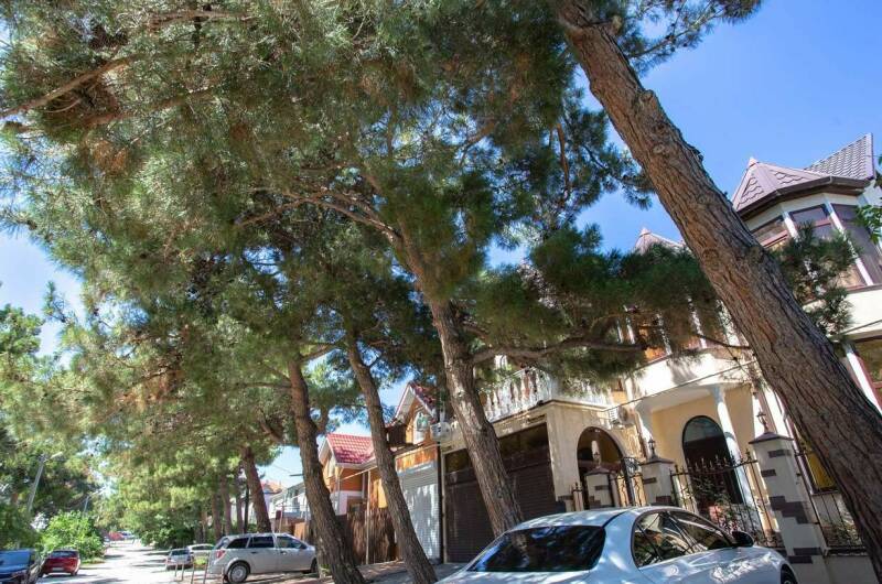 Гостевой дом «Татьяна»