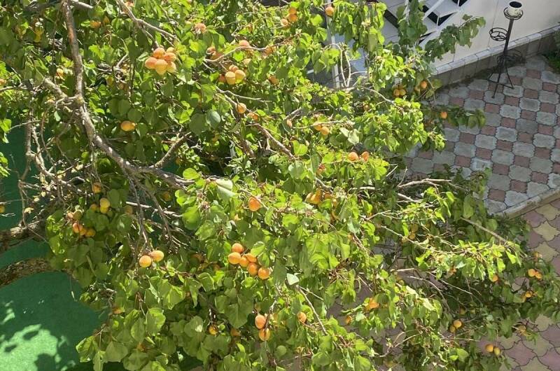 Гостевой дом «Татьяна»