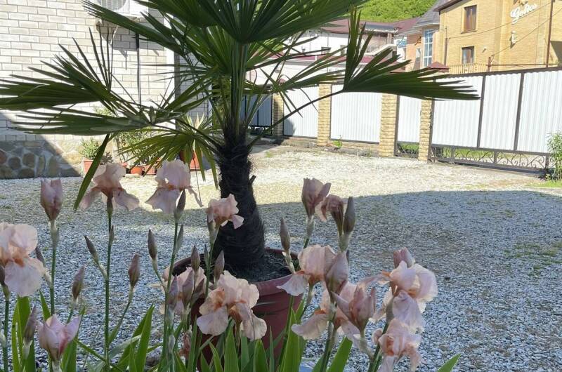 Частный дом «Солнечное место»