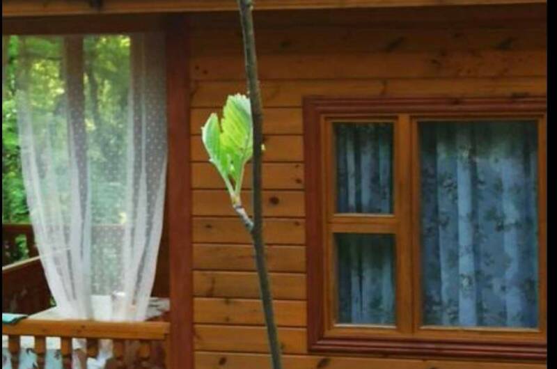 Деревянные домики «Домик под клëнами»