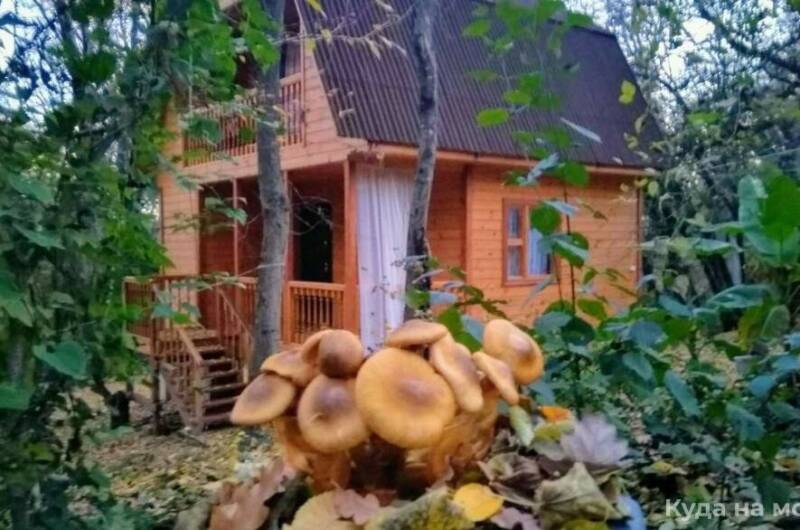 Деревянные домики «Домик под клëнами»