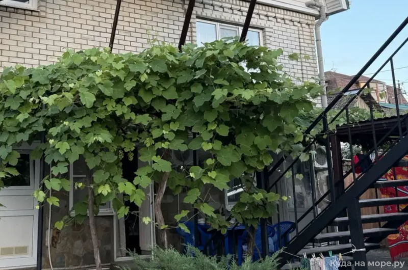 Частный дом «У Елены»