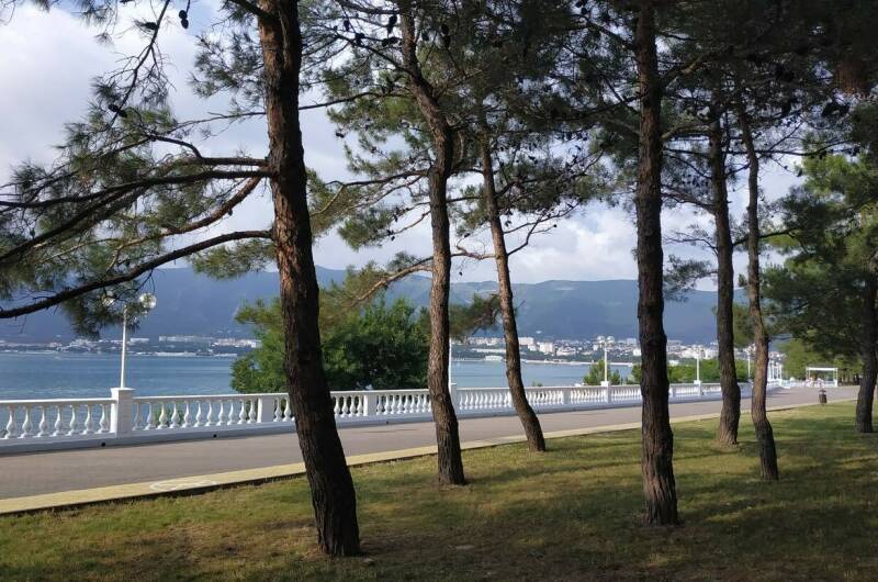 Квартира у самого Черного моря