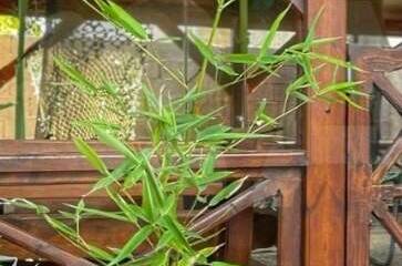 Гостевой дом «Семейный отдых»