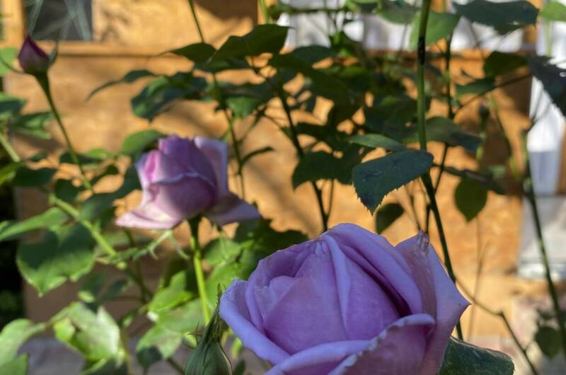 Дом на Кирпичной 5