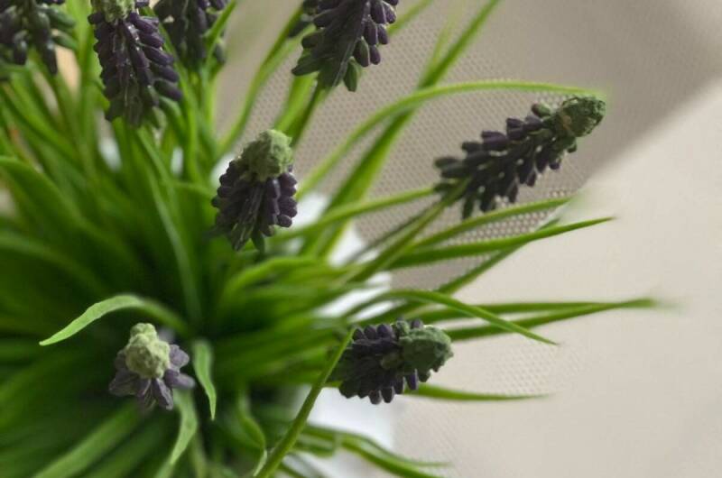 Квартира у моря