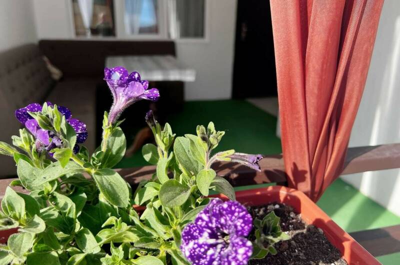 Гостевой дом на Школьной