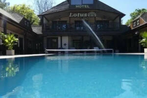 Изображение Отель «Lotus» #4