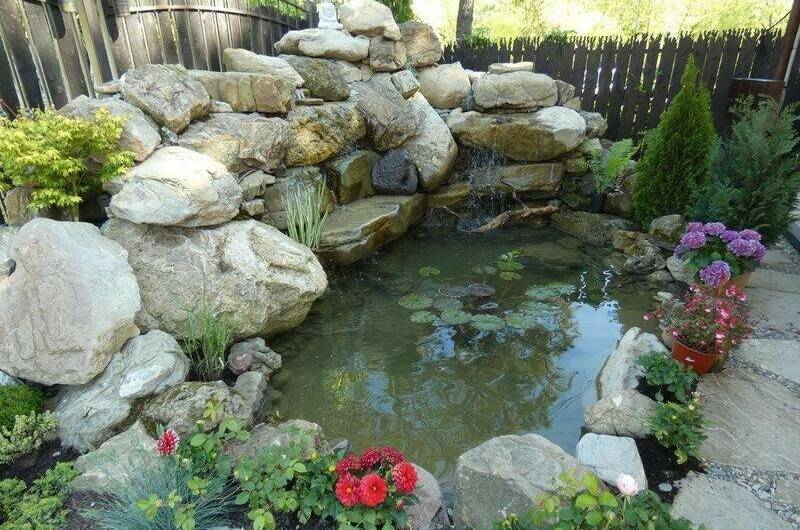 Отель «Lotus»