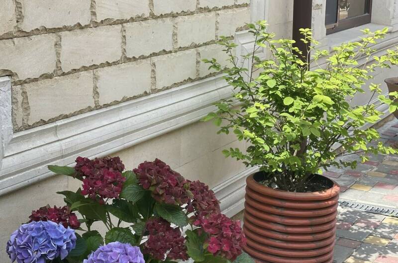 Гостиница «Карс»