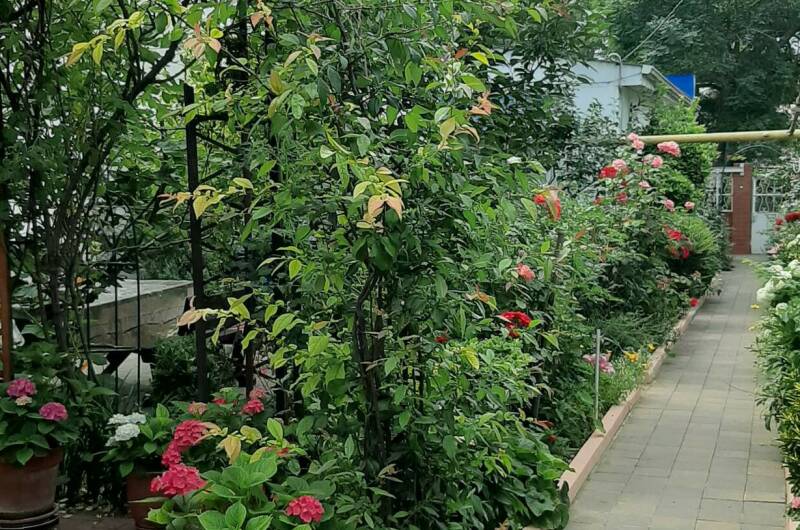 Частный дом «Визит»