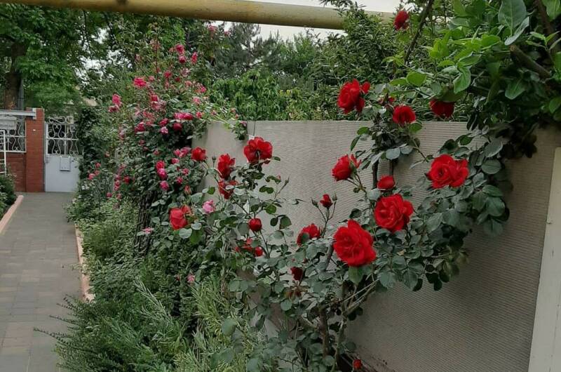 Частный дом «Визит»