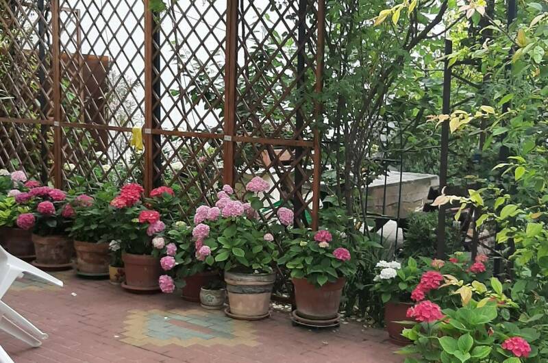 Частный дом «Визит»