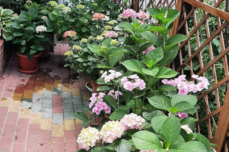 Частный дом «Визит»