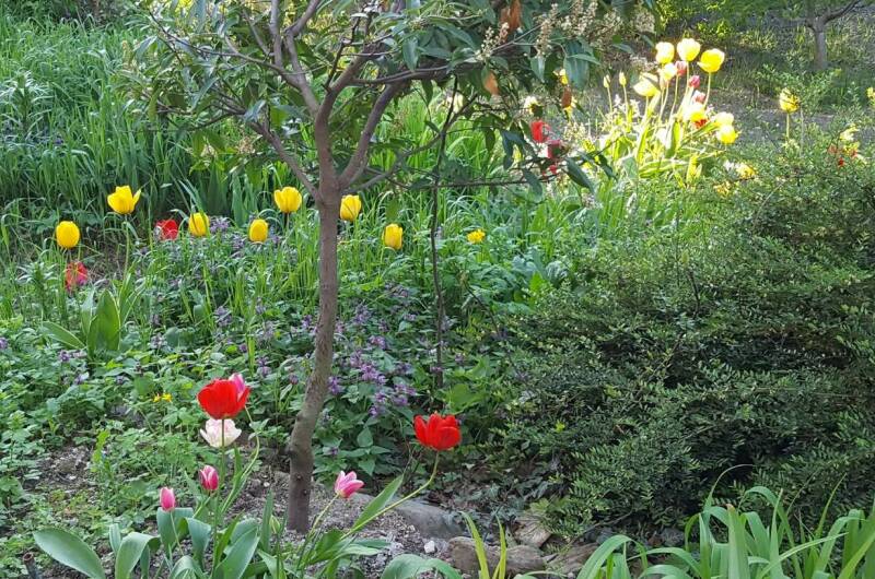 Дом под ключ «Домик под дубом»