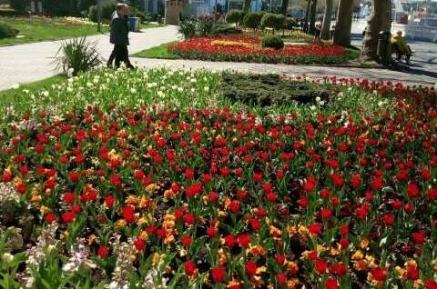 Студия на Крымской