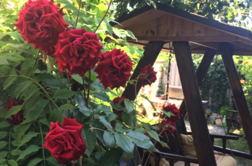 Гостевой дом «Зеленый рай»