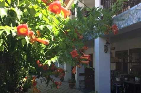 Гостевой дом «Зеленый рай»