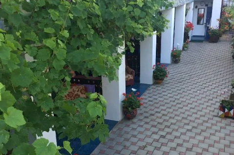 Гостевой дом «Зеленый рай»