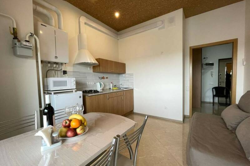 Однокомнатная квартира на Толстом мысе