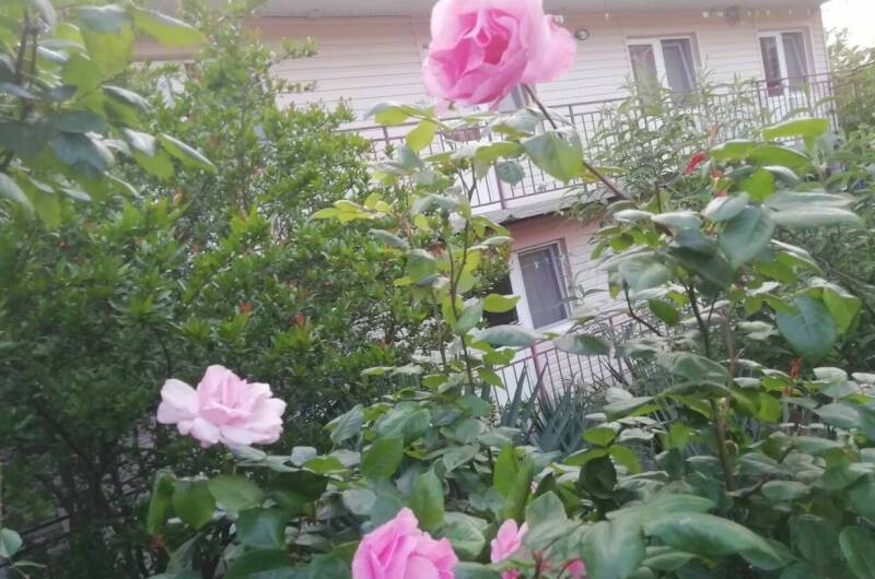 Гостевой дом «У Людмилы»