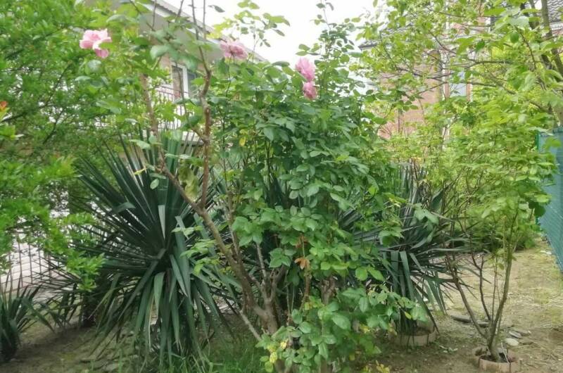 Гостевой дом «У Людмилы»