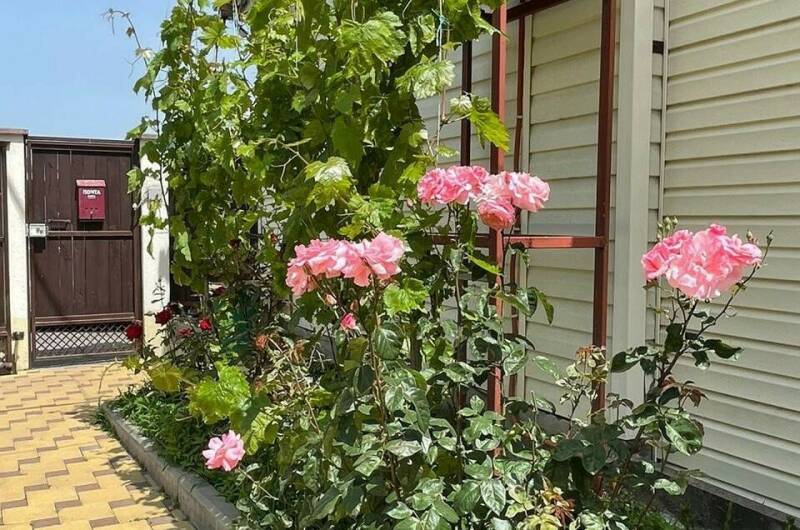 Гостевой дом «Капучино»